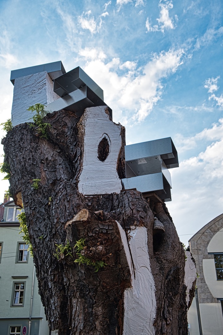 Baum an der Bauhaus-Uni