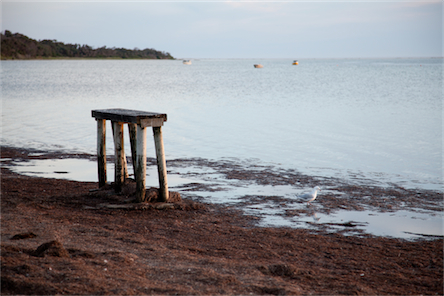 jetty-wilsons-prom.jpg